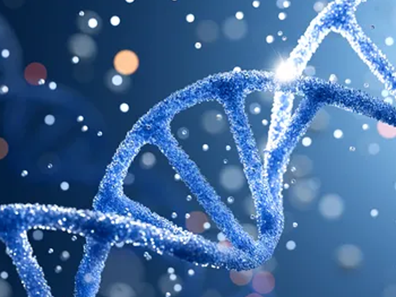 eDNA: de hele Nederlandse natuur in kaart